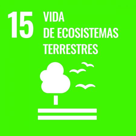 Sustainable_Development_Goal-es-03
