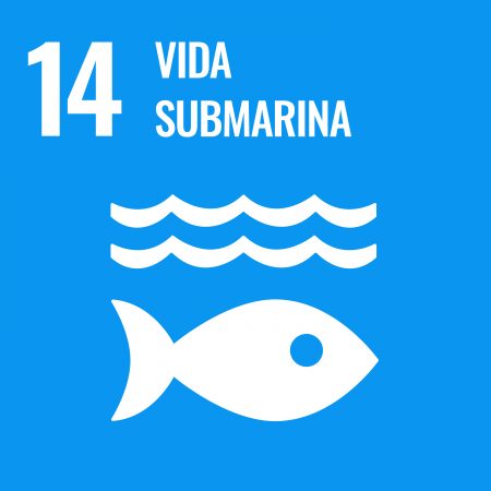 Sustainable_Development_Goal-es-04
