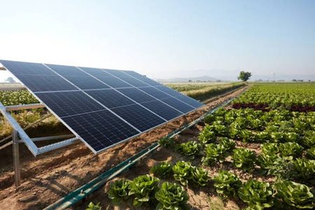 Innovación en el campo: Proyecto busca optimizar la energía solar para revolucionar la agricultura chilena